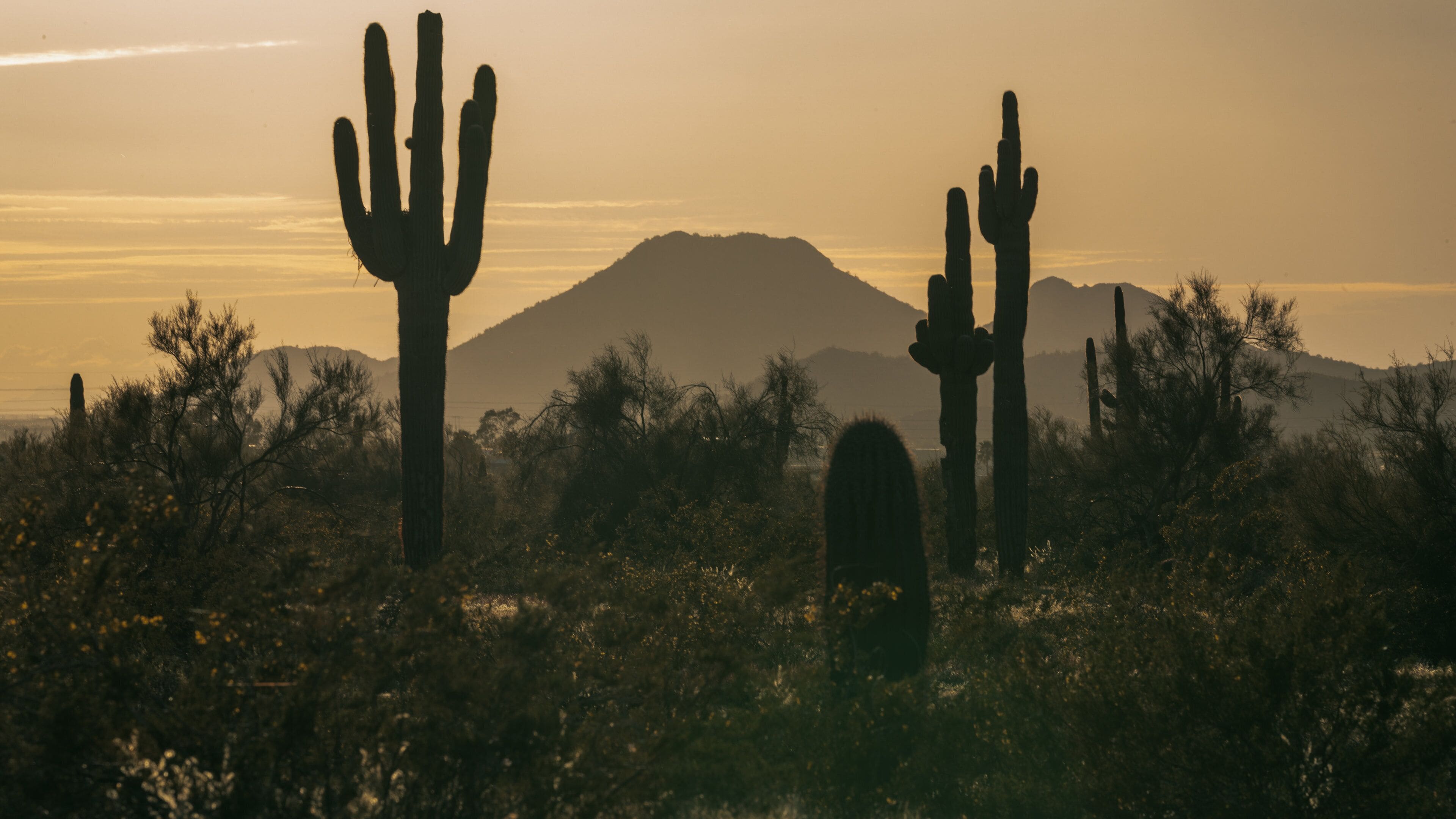 Deer Valley showing a sunset and desert views