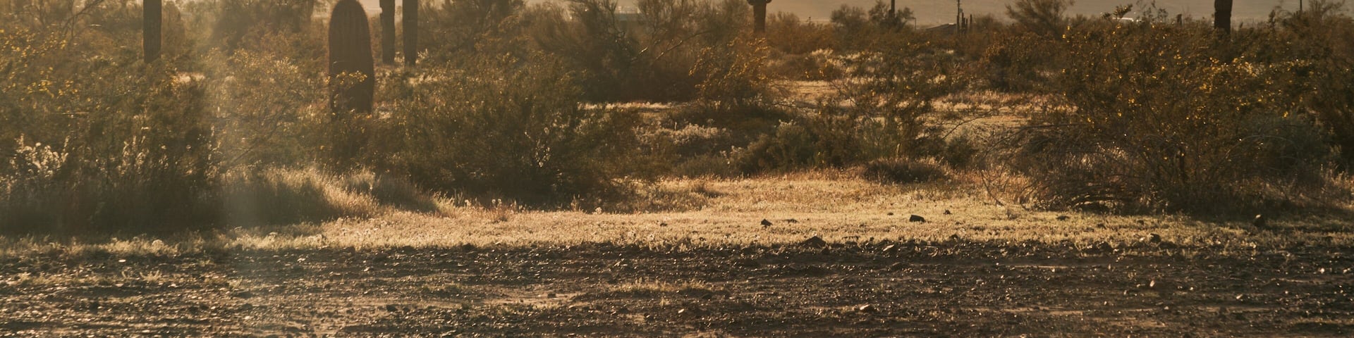 Deer Valley showing a sunset and desert views