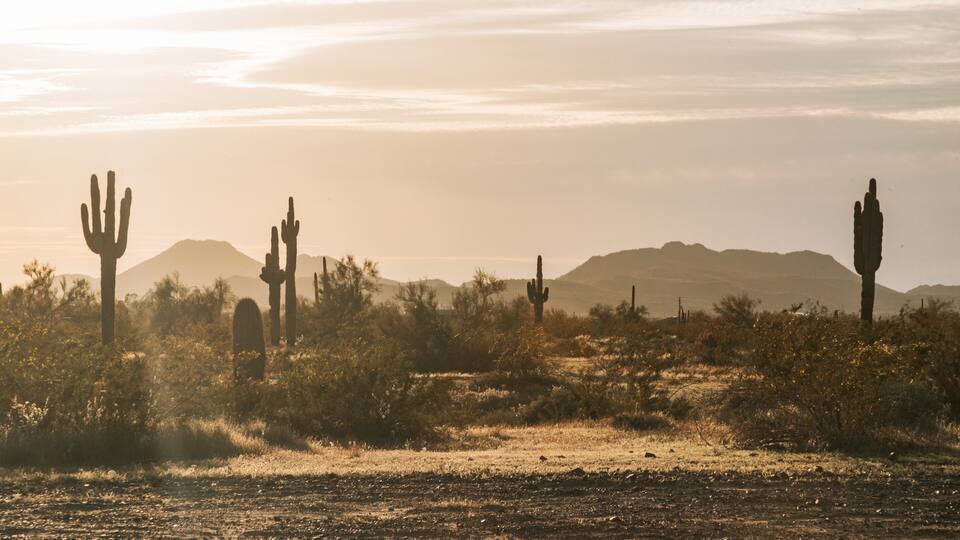 Deer Valley showing a sunset and desert views