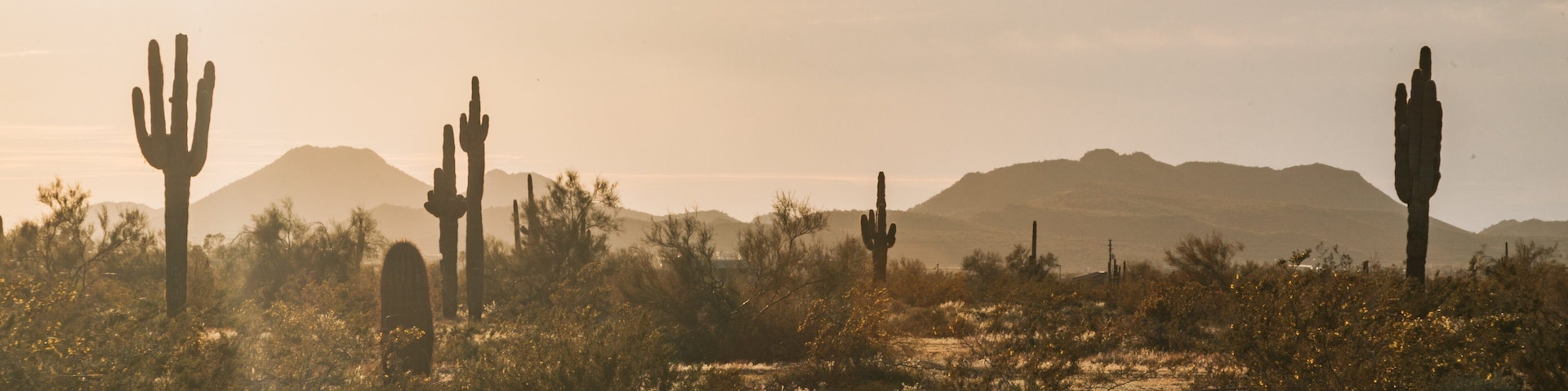 Deer Valley showing a sunset and desert views