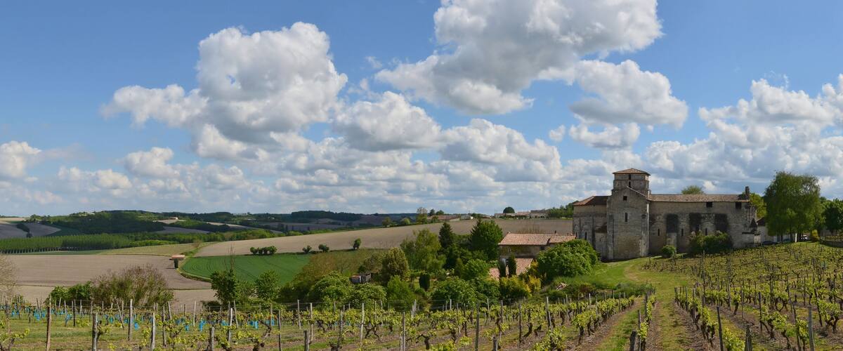 A vineyard with rows of grapevines, a stone building with a tower, and rolling hills in the background under a partly cloudy sky.