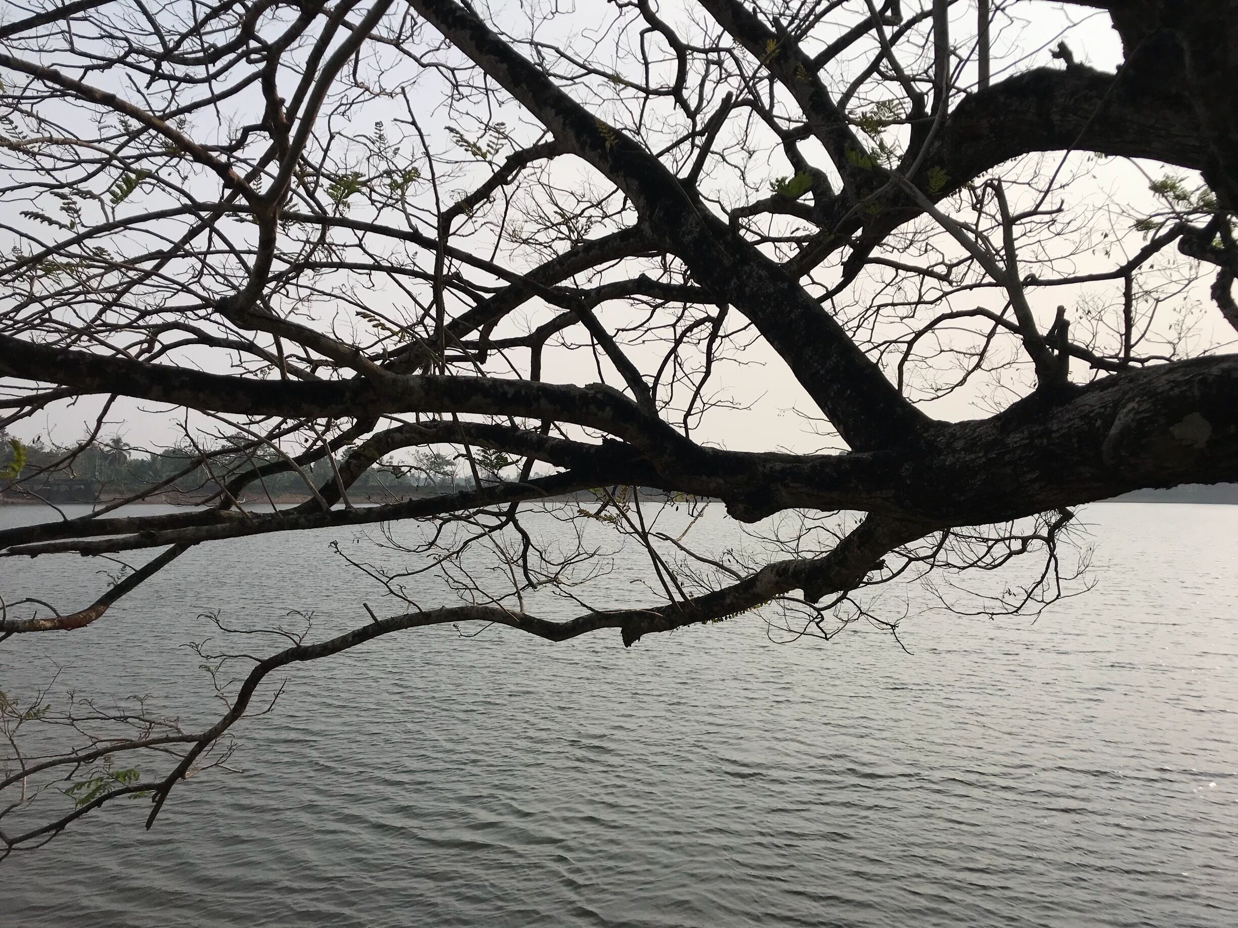 Malayaattoor #kerala# boating 🛶 