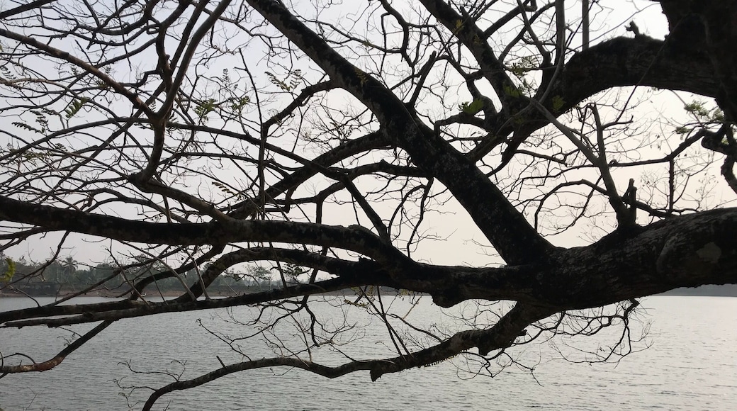 Malayaattoor #kerala# boating 🛶