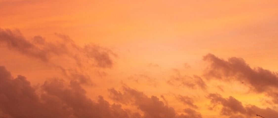 This is the place known for its famous sivarathri festival.During the rainy season the siva temple on the banks of aluva river sinks entirely below the river and only the deity is seen above the water.it is certainly one of the beautiful scene to watch when in kerala
#sunset
#nofilter
#bruisedpassports
#trover