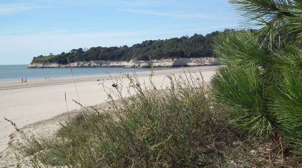 La plage de Suzac