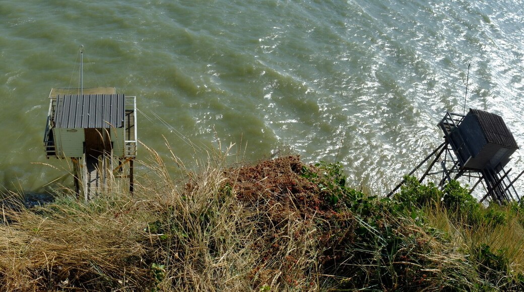 de la pointe de Suzac à Mescher-sur-Gironde