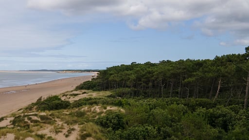 Panorama Côte sauvage Saint Palais sur Mer Charente Maritime France