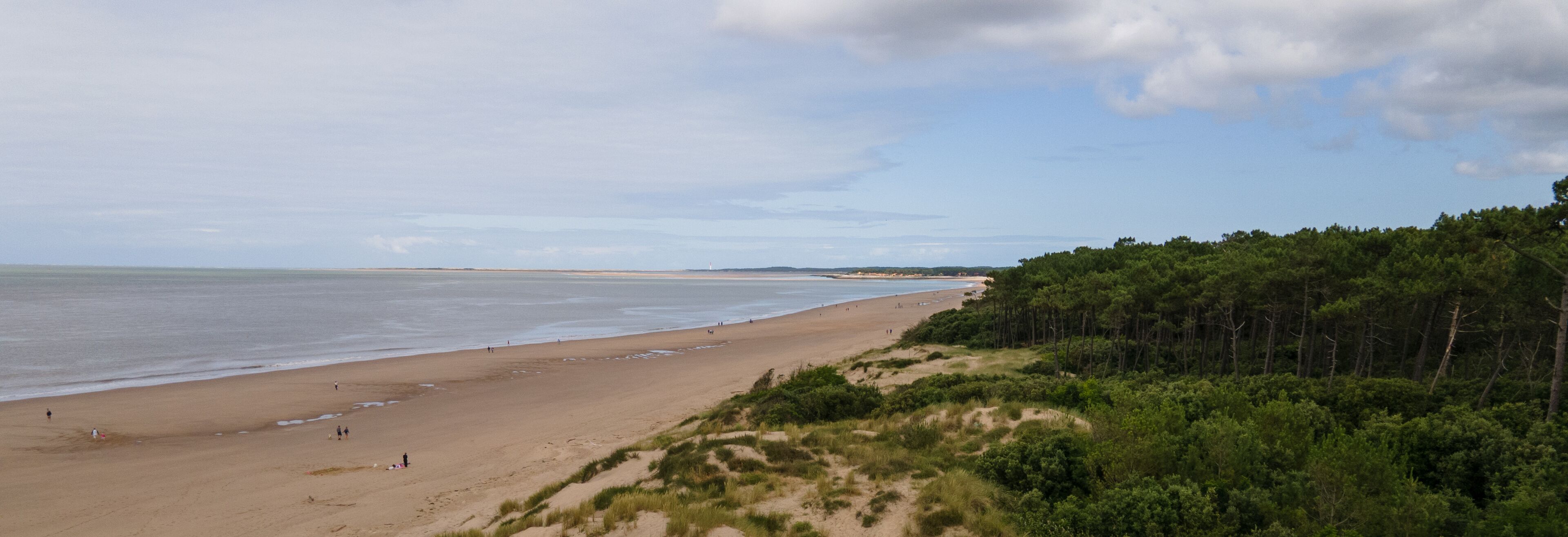 A beach with a forested area on the right and a lighthouse in the distance.