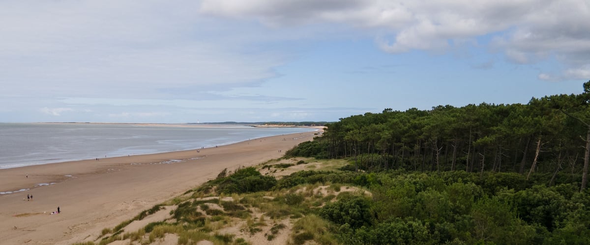 A beach with a forested area on the right and a lighthouse in the distance.