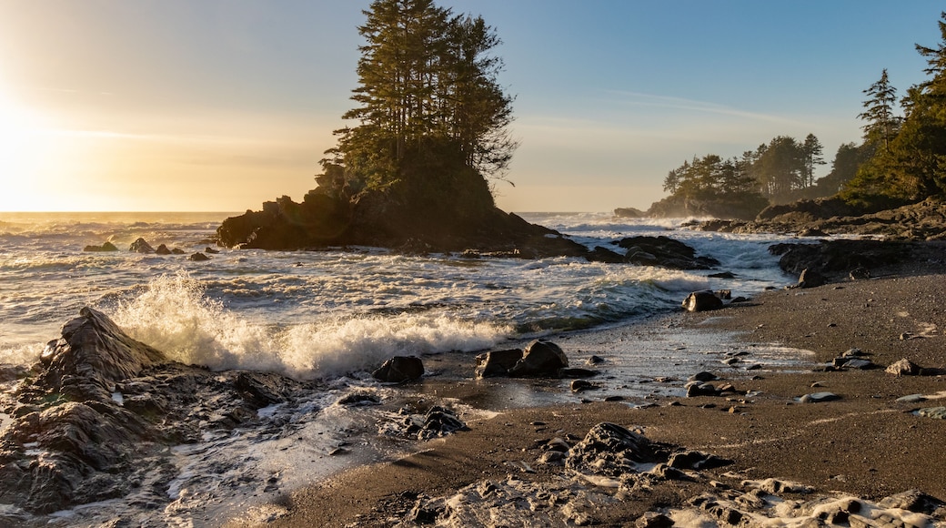 A rocky shoreline with waves crashing onto the beach, a prominent tree, and a clear sky.