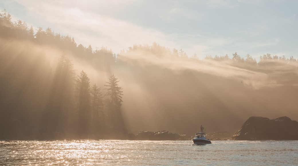 A boat on calm water with sunlight filtering through trees, creating a misty atmosphere.