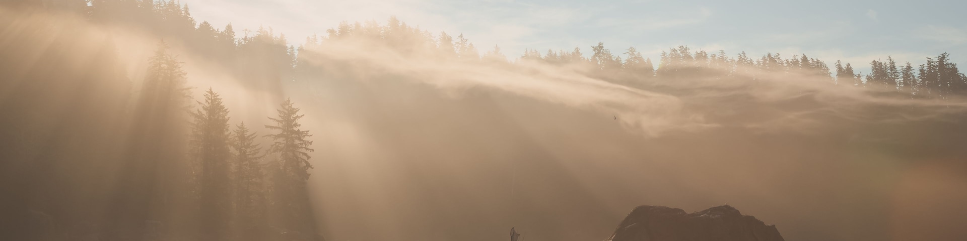 Ein Boot auf ruhigem Wasser, durch das Sonnenlicht gefiltert zwischen Bäumen, wodurch eine neblige Atmosphäre entsteht.