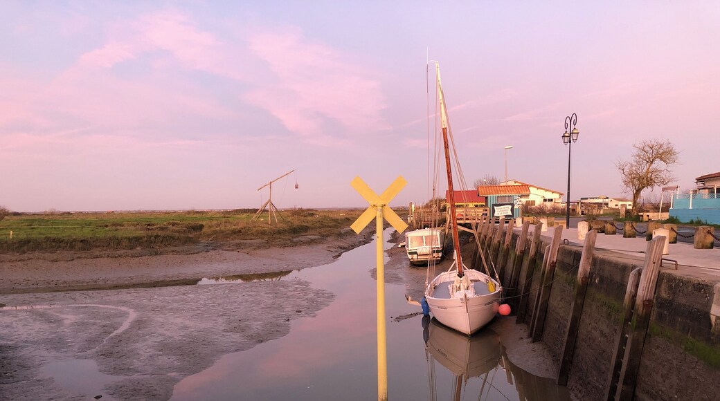Fin de journée... magnifiques lumières