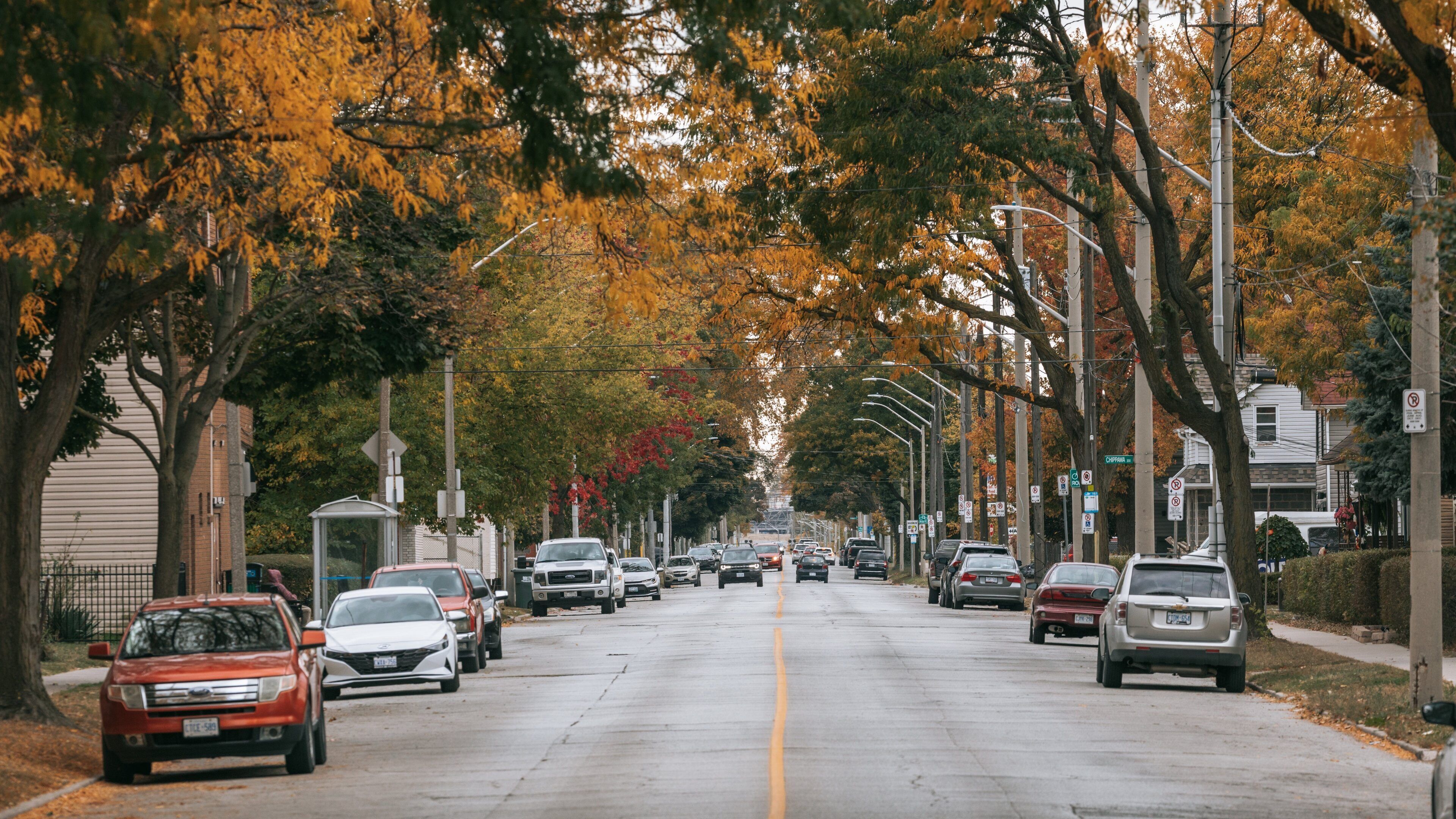 Sandwich Towne showing autumn leaves and a small town or village
