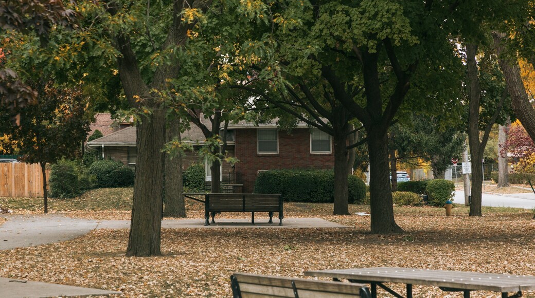 Sandwich Towne which includes a park and autumn leaves