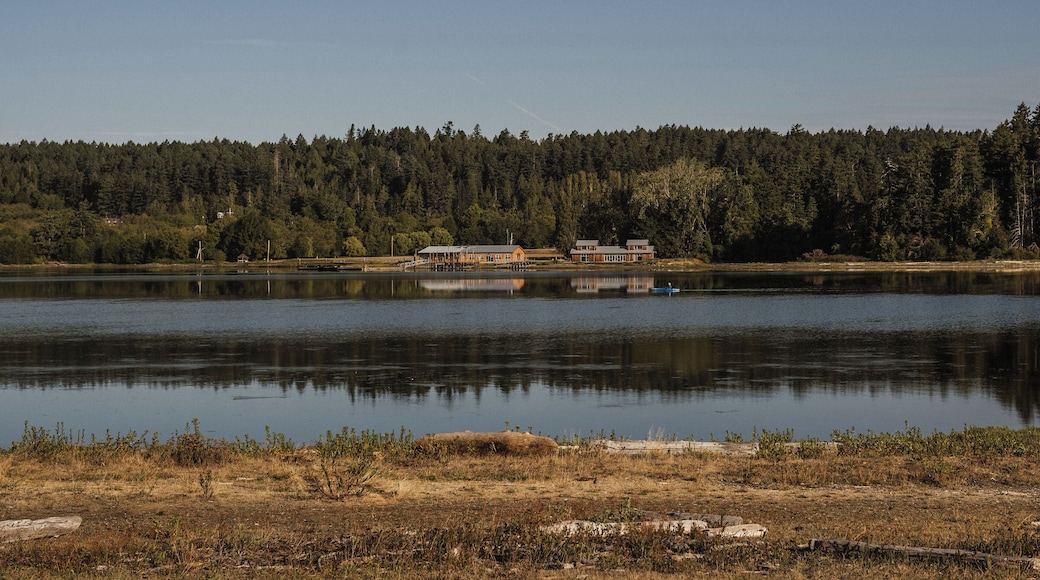 Victoria_EsquimaltLagoonMigratoryBirdSanctuary_6253677-1