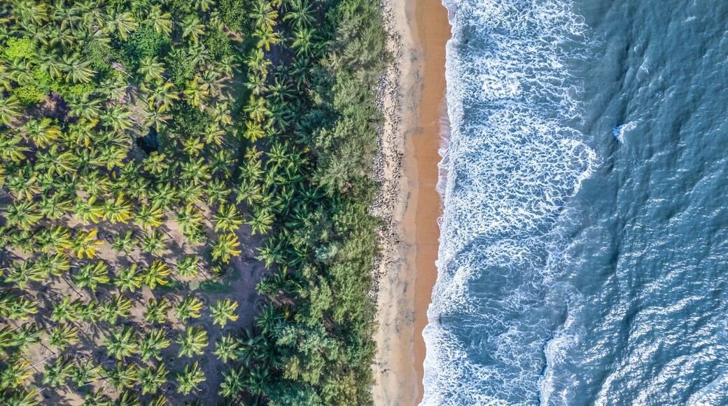 snehatheeram beach chavakkad kerala aerial view