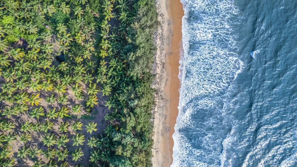 An aerial view of a beach with palm trees and waves.