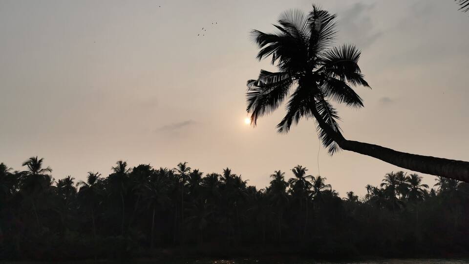 Sunset over the Kadalundi river, Kerala,India.