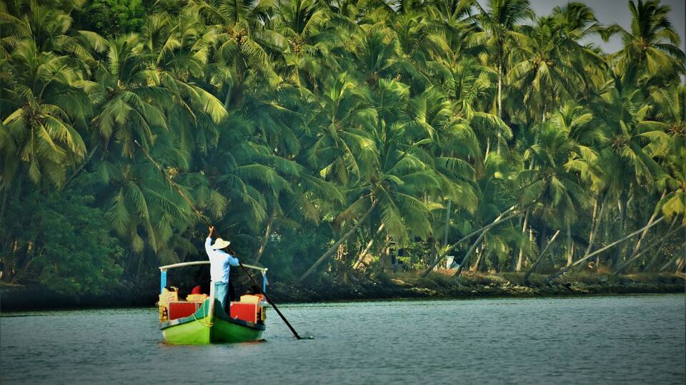 Beautiful kerala wetland tourism, Kadalundi, Kerala, India