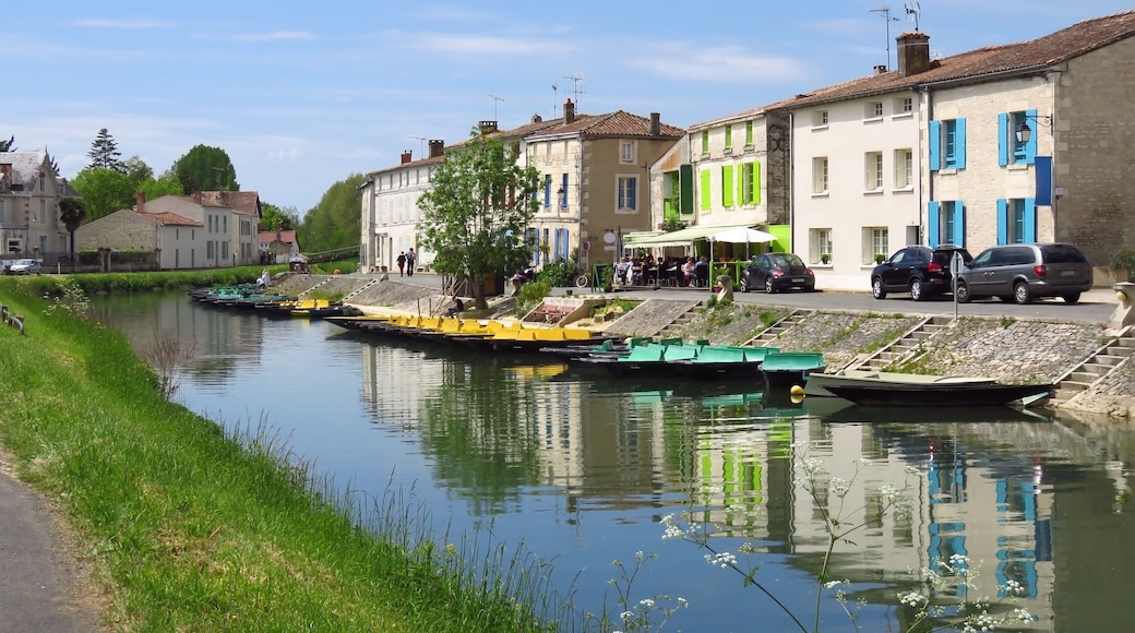Coulon
