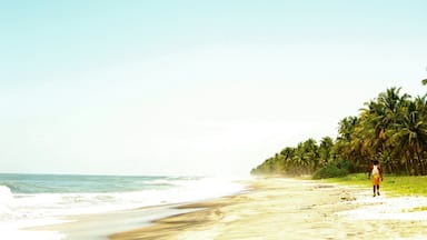 Just a peaceful spot to hangout!..it's just you and the sound of the waves..
#beachbound