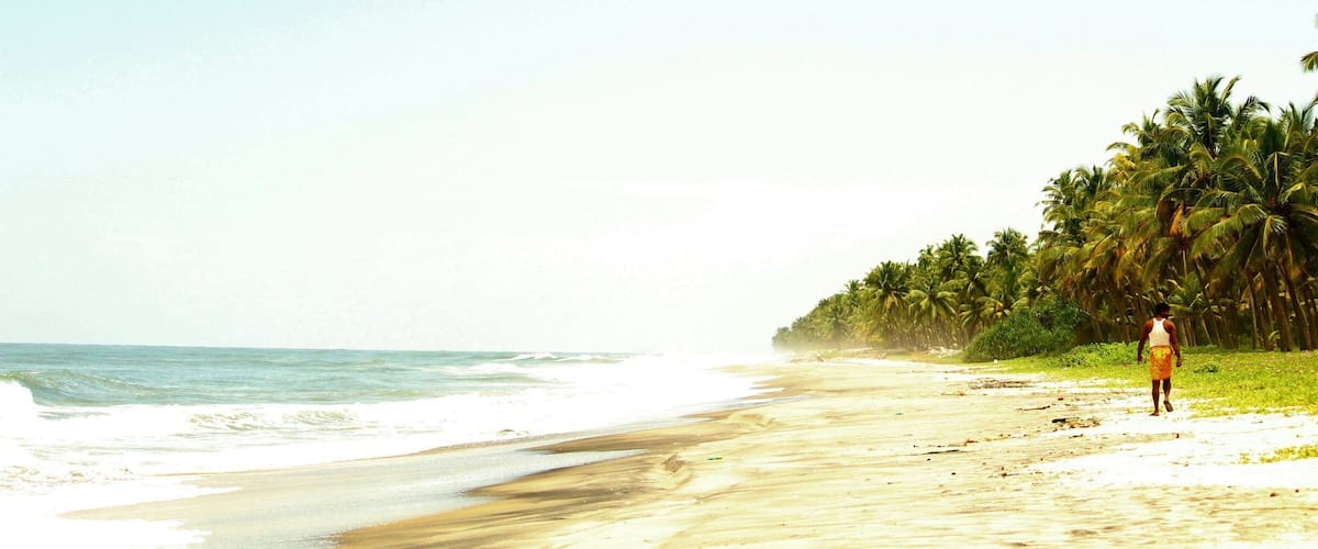 A beach with waves, a person walking, and palm trees.