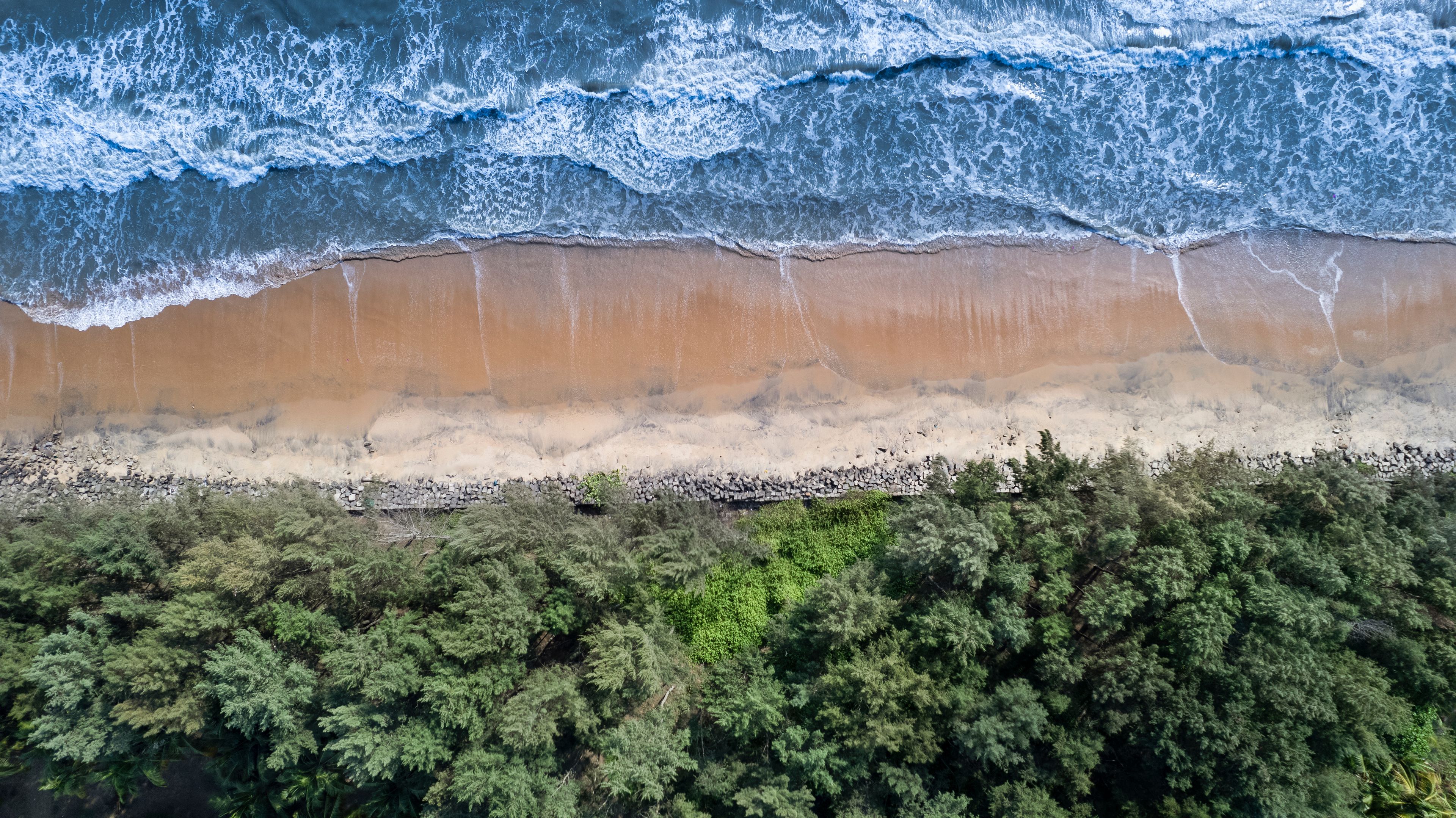 A beach with waves crashing onto the shore, a sandy beach, and dense green forest in the foreground.