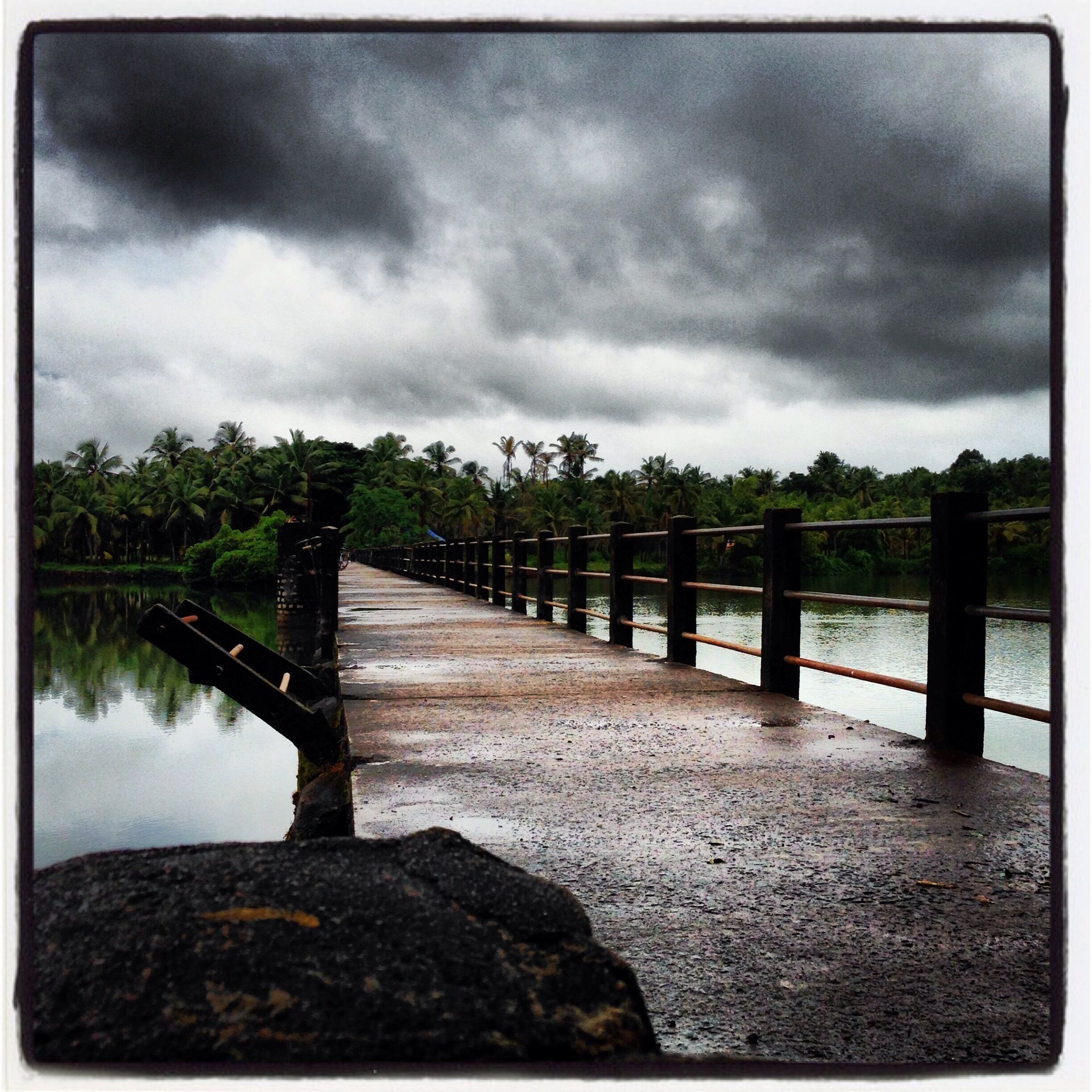 A wet bridge with a railing, surrounded by palm trees and a cloudy sky.