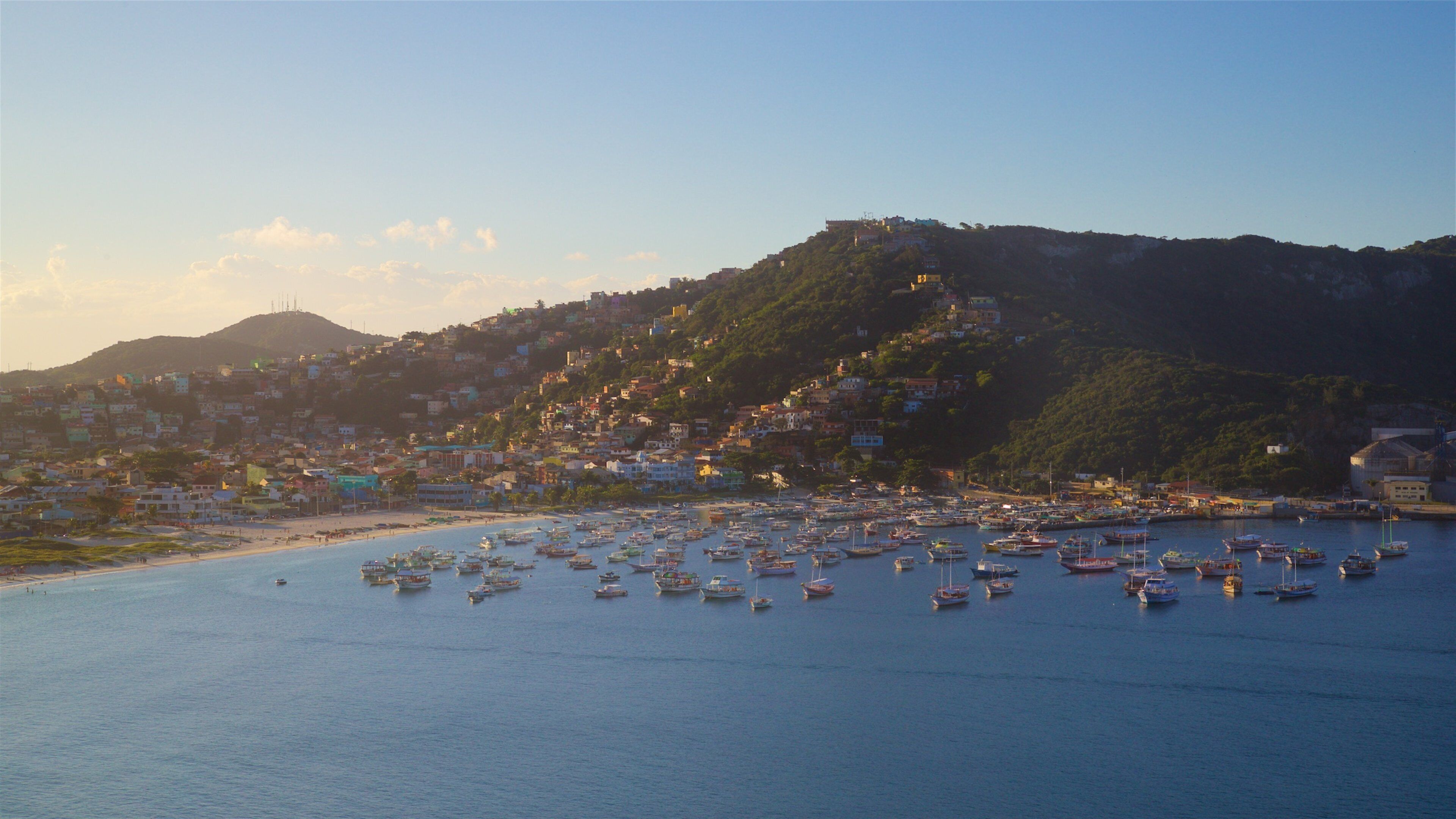 A coastal town with numerous boats docked along the shoreline, a beach, and a densely populated hillside with buildings.
