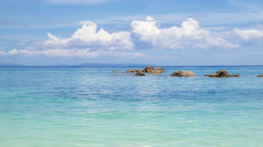 Calumboyan Public Beach featuring general coastal views