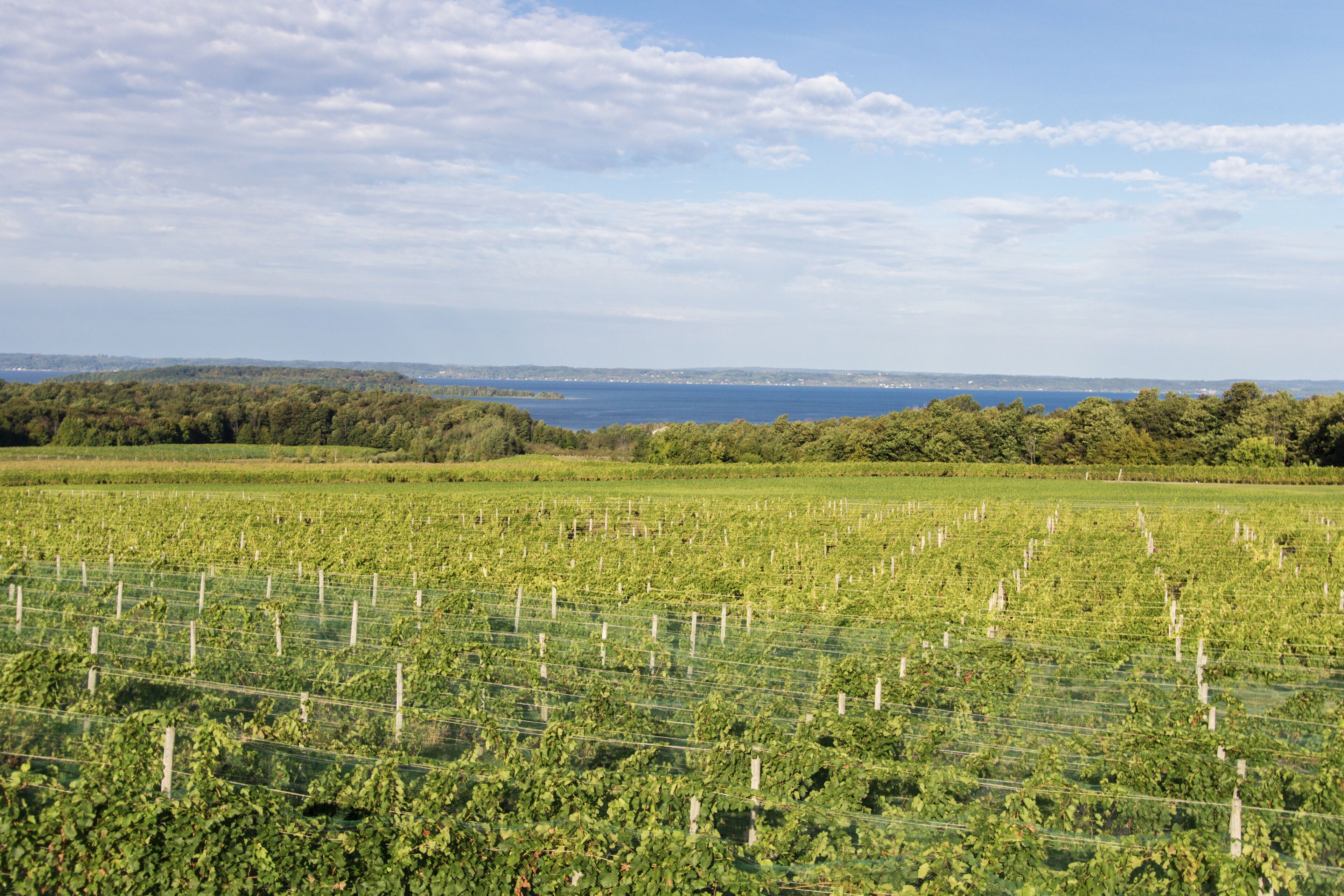 The Wineries of Old Mission Peninsula