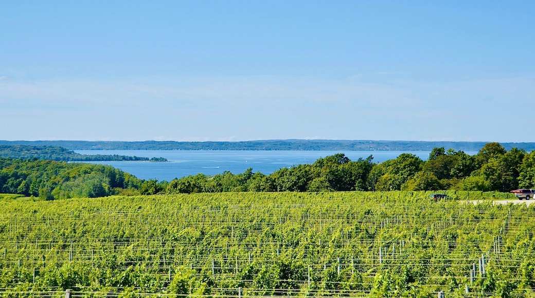 The Wineries of Old Mission Peninsula