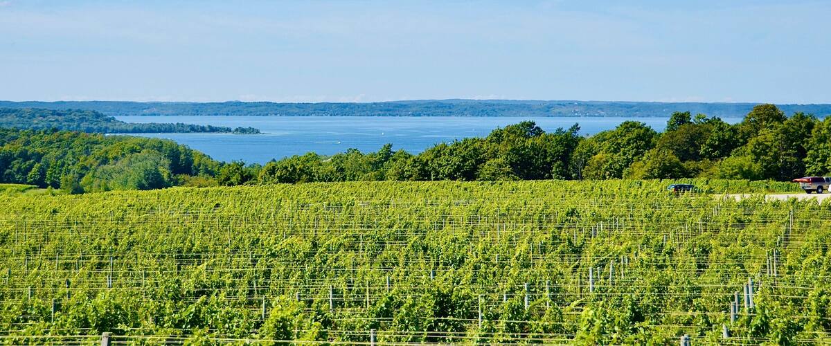 Beautiful scenic view of vineyard, farmland, lake, from the winery in Old Mission Peninsula, Michigan.
