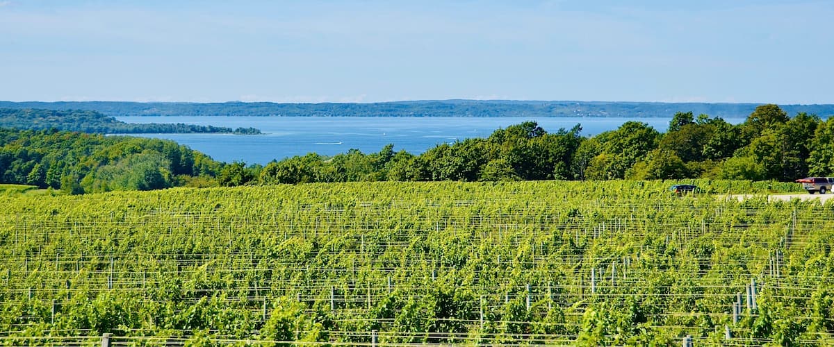 Beautiful scenic view of vineyard, farmland, lake, from the winery in Old Mission Peninsula, Michigan.