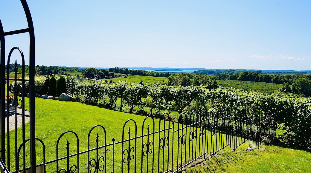 The Wineries of Old Mission Peninsula