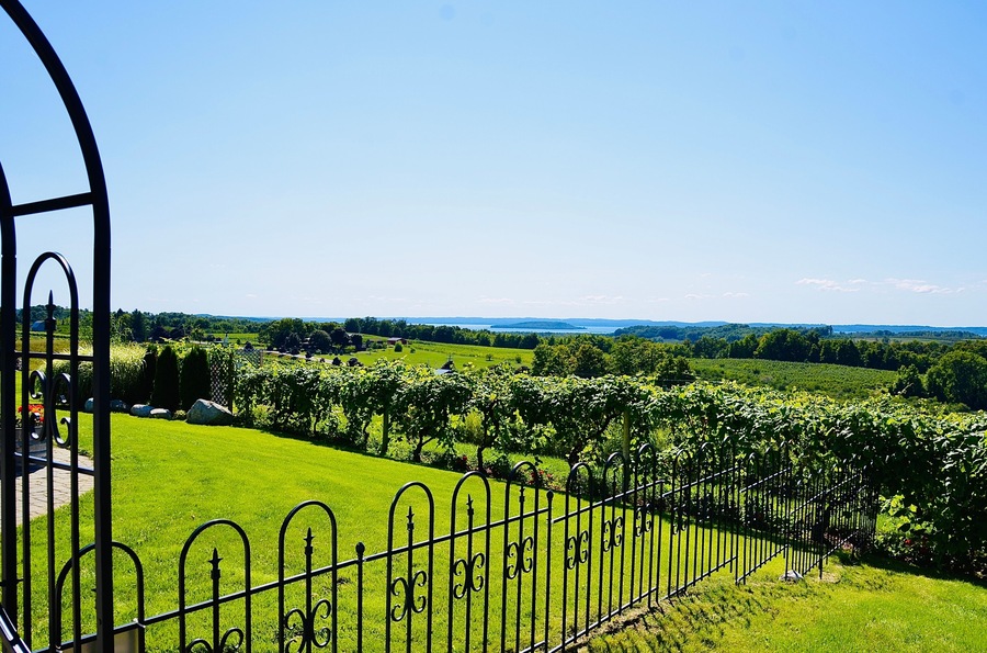 Beautiful overlooking view of vineyard, farmland, lake, from the winery in Old Mission Peninsula, Michigan.