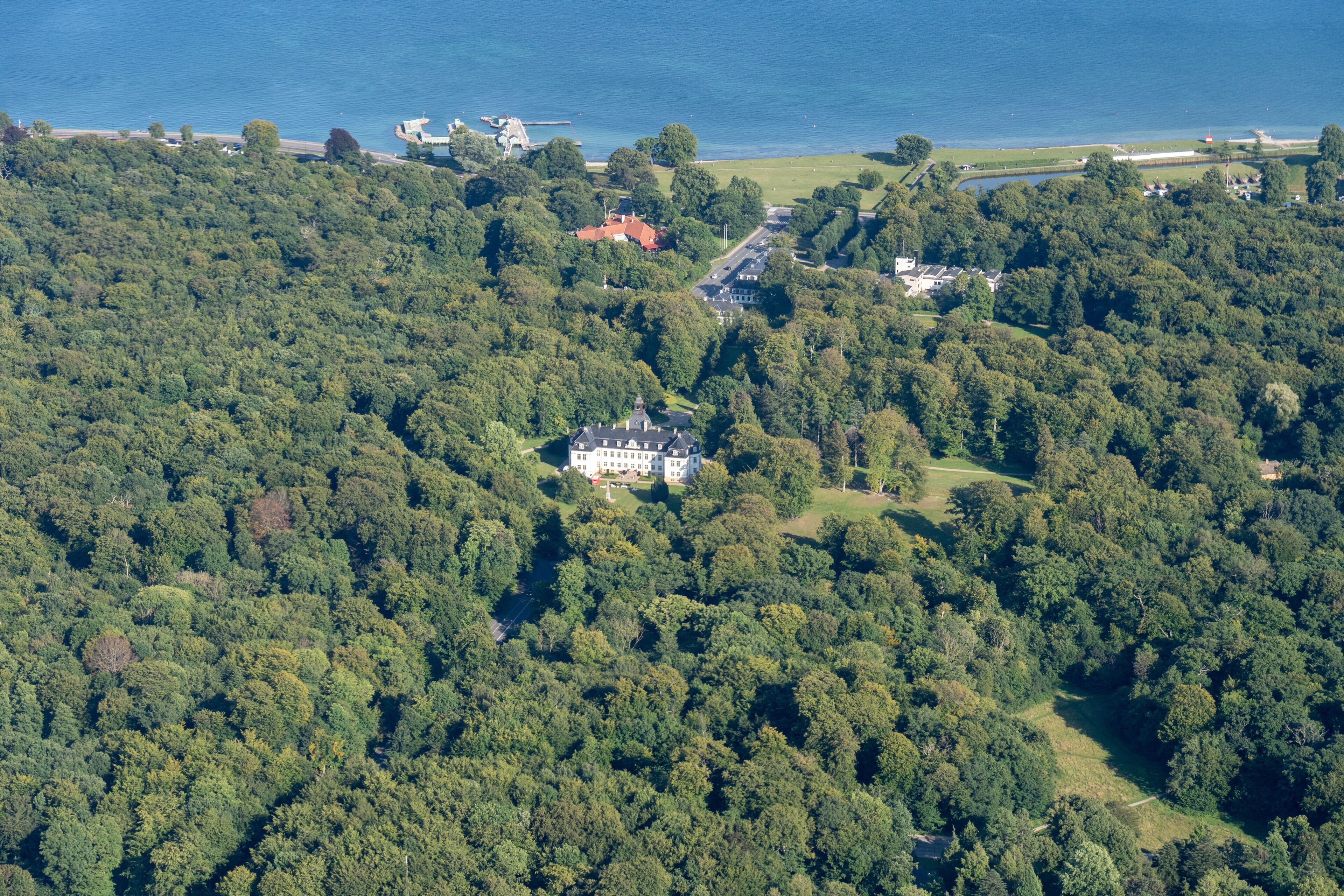 An aerial view of a forested area with a large estate surrounded by dense trees.