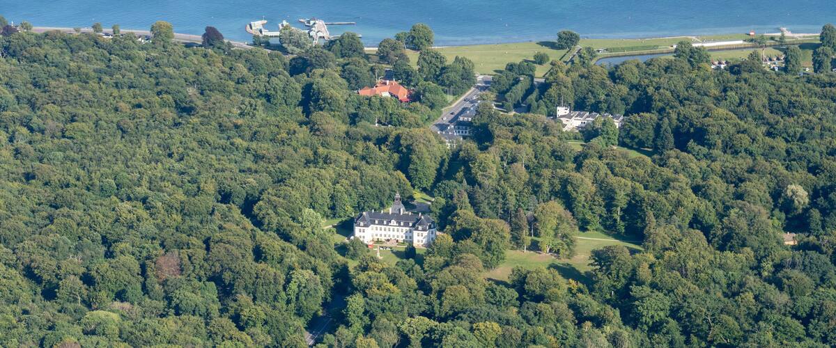 An aerial view of a forested area with a large estate surrounded by dense trees.