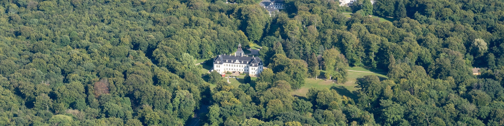 An aerial view of a forested area with a large estate surrounded by dense trees.
