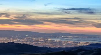 South San Jose