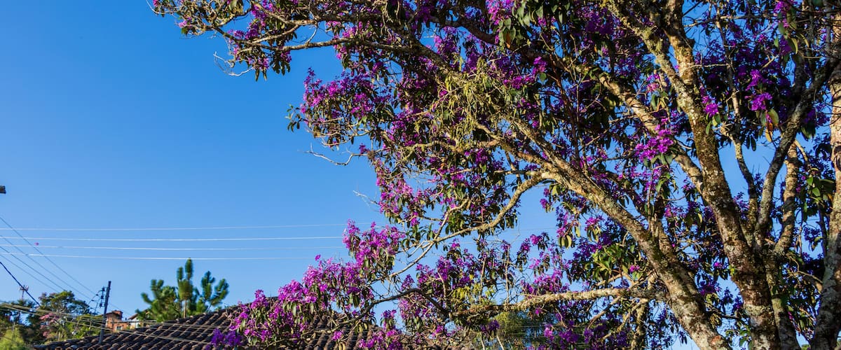 Casas coloridas em Conceição do Ibitipoca, Minas Gerais, Brasil.