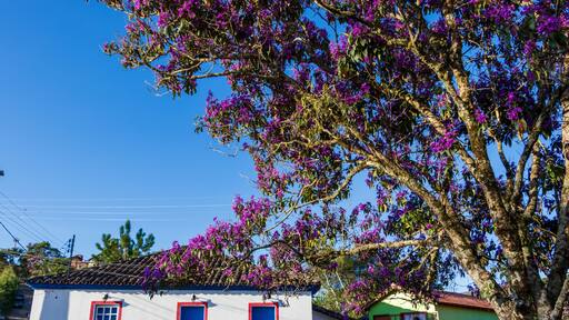 Casas coloridas em Conceição do Ibitipoca, Minas Gerais, Brasil.