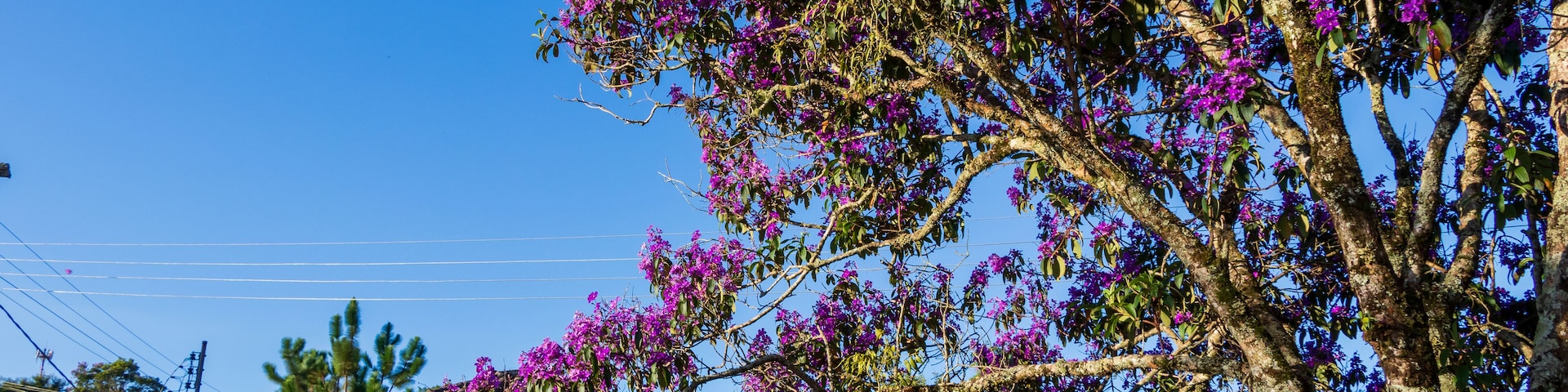 Casas coloridas em Conceição do Ibitipoca, Minas Gerais, Brasil.