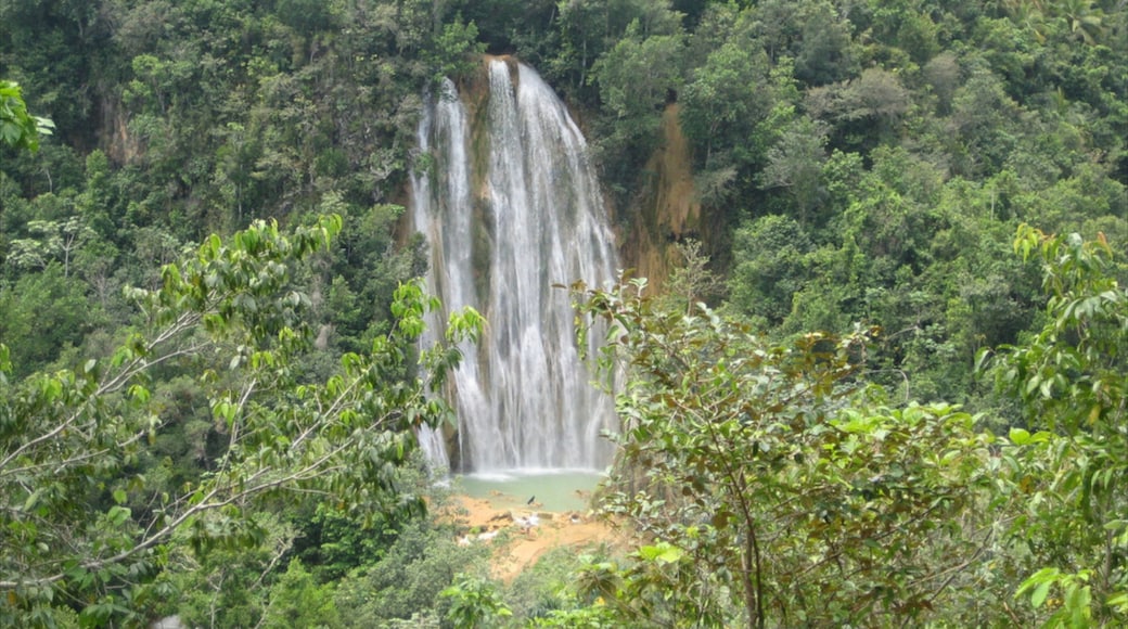 El Limon Falls which includes a waterfall and rainforest