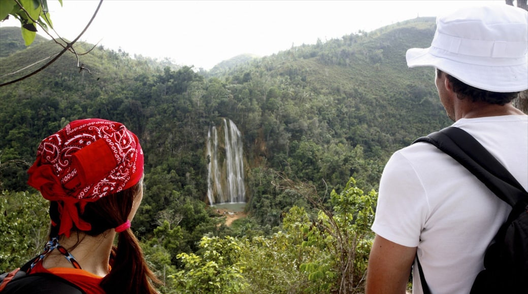 El Limon Falls featuring rainforest, a waterfall and hiking or walking