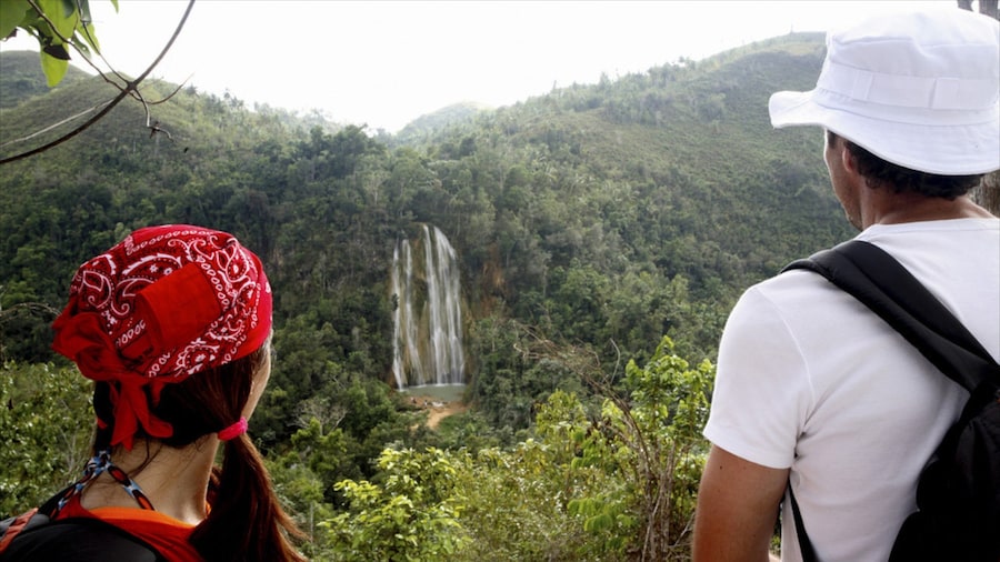El Limon Falls featuring rainforest, a waterfall and hiking or walking