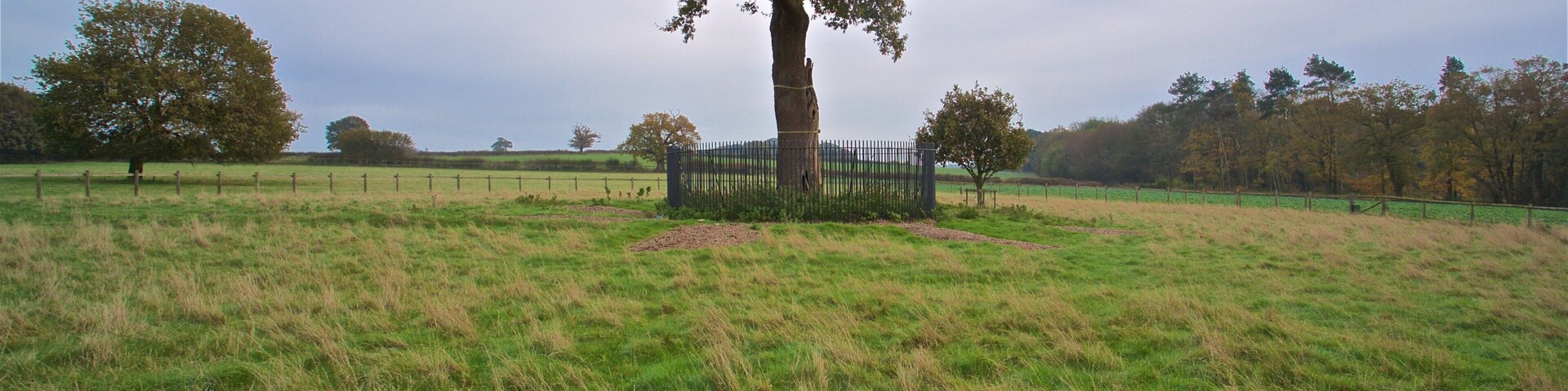 Wolverhampton qui includes jardin et panoramas