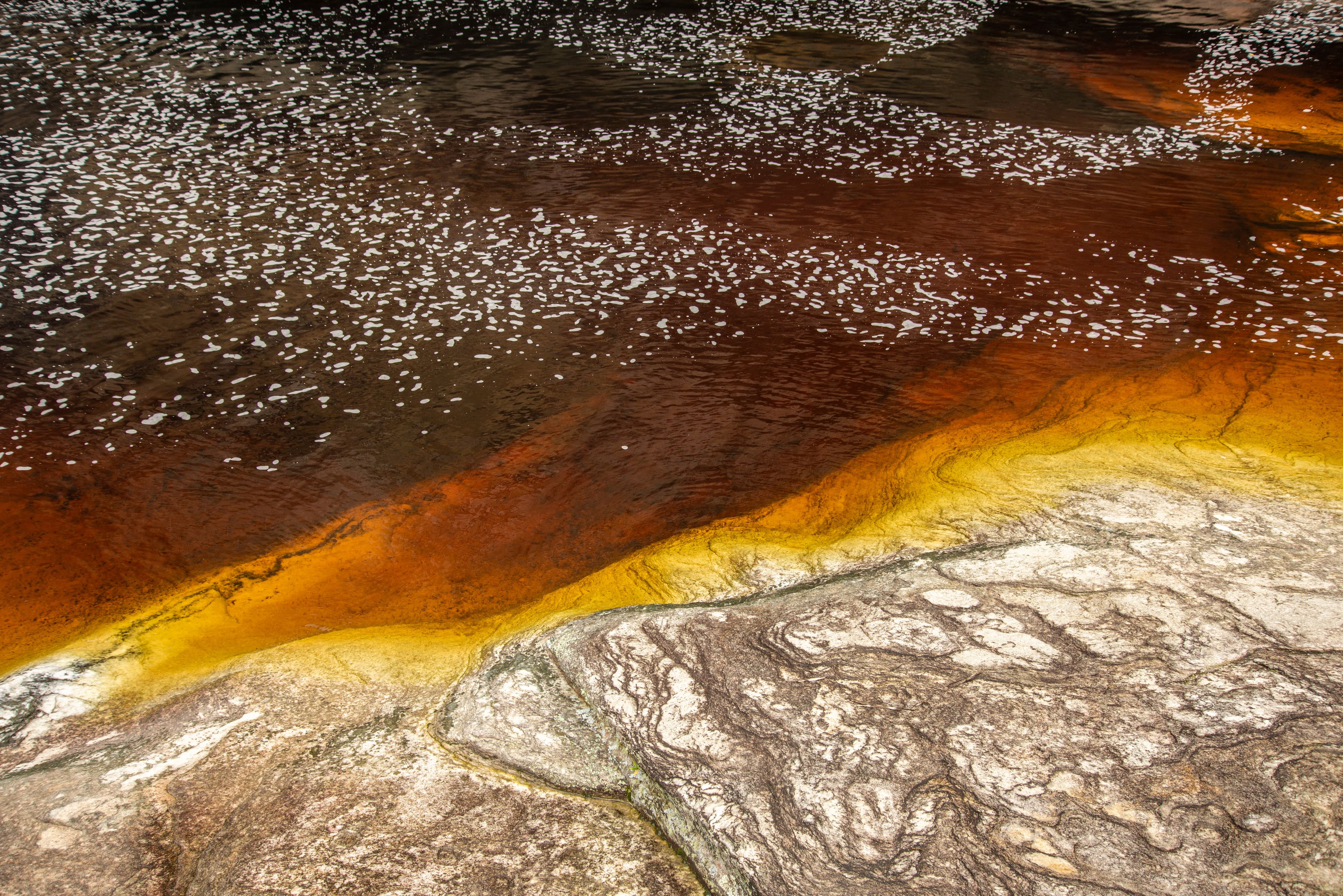 Close-up de uma superfície rochosa com diversas cores, incluindo castanho, amarelo e branco.