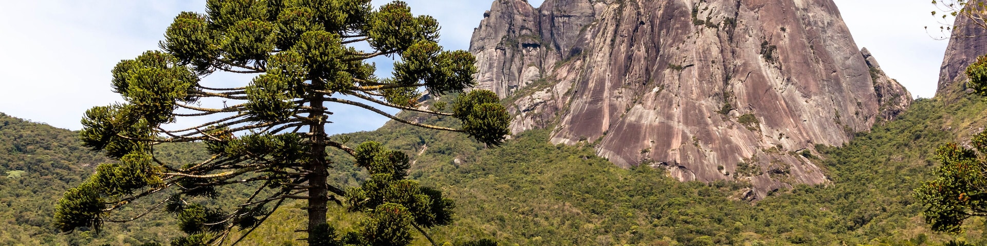 Paisagem montanhosa com um pico rochoso destacado e um pinheiro em primeiro plano.